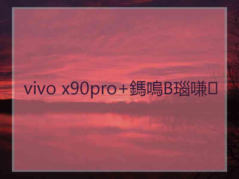 vivo x90pro+鎷嗚В瑙嗛