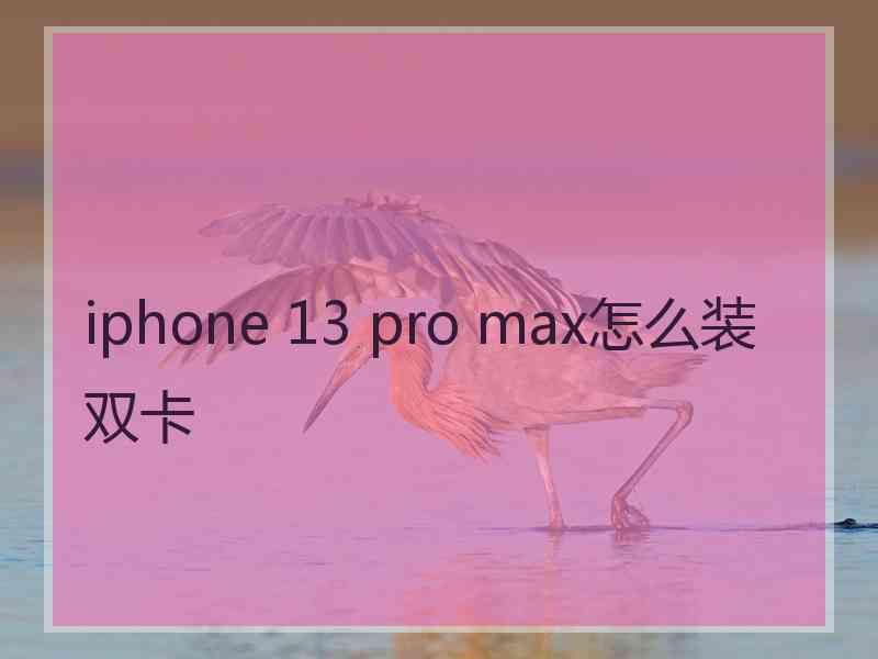 iphone 13 pro max怎么装双卡