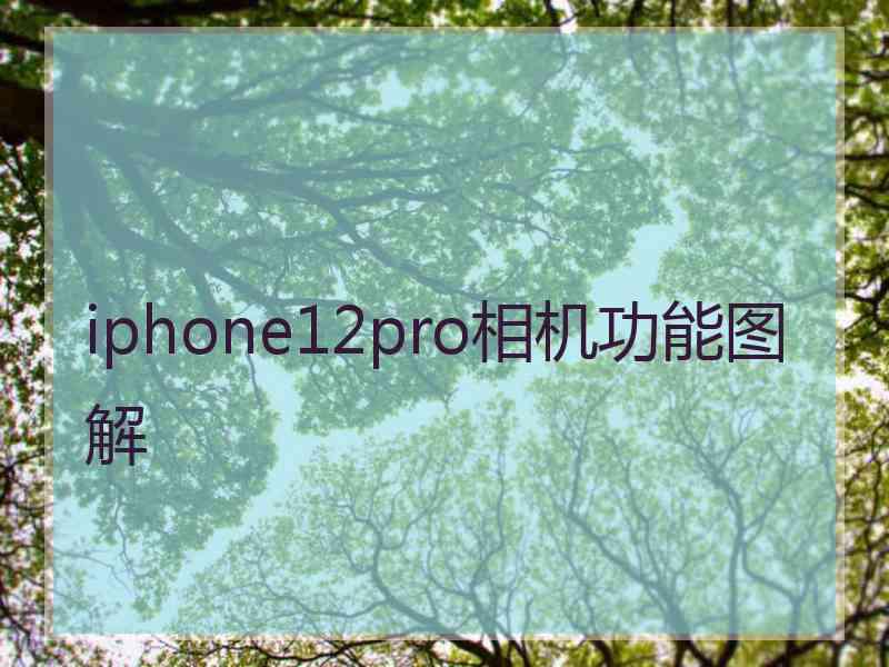 iphone12pro相机功能图解