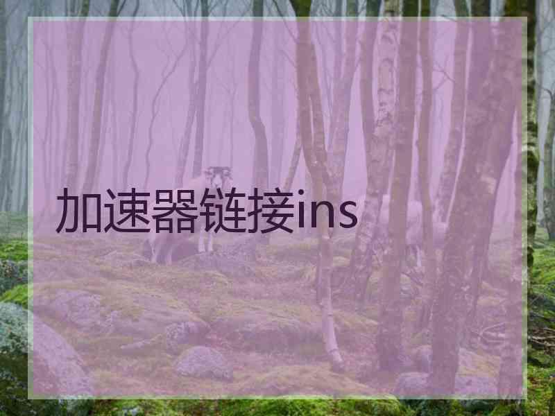 加速器链接ins