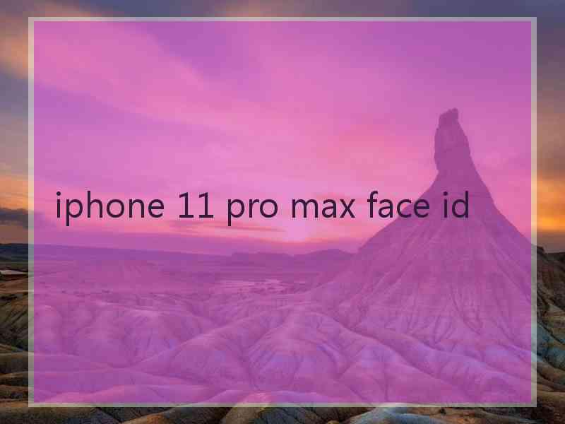 iphone 11 pro max face id