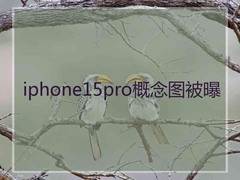 iphone15pro概念图被曝