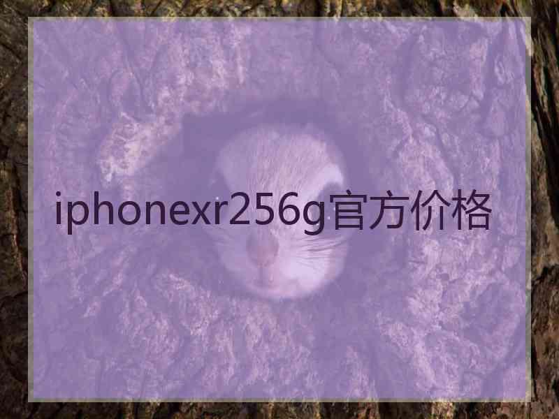 iphonexr256g官方价格