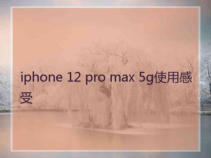 iphone 12 pro max 5g使用感受