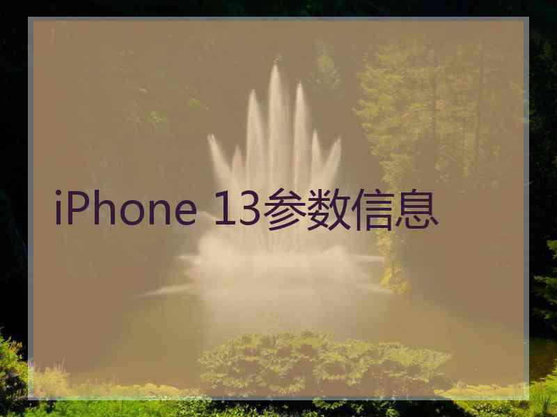 iPhone 13参数信息