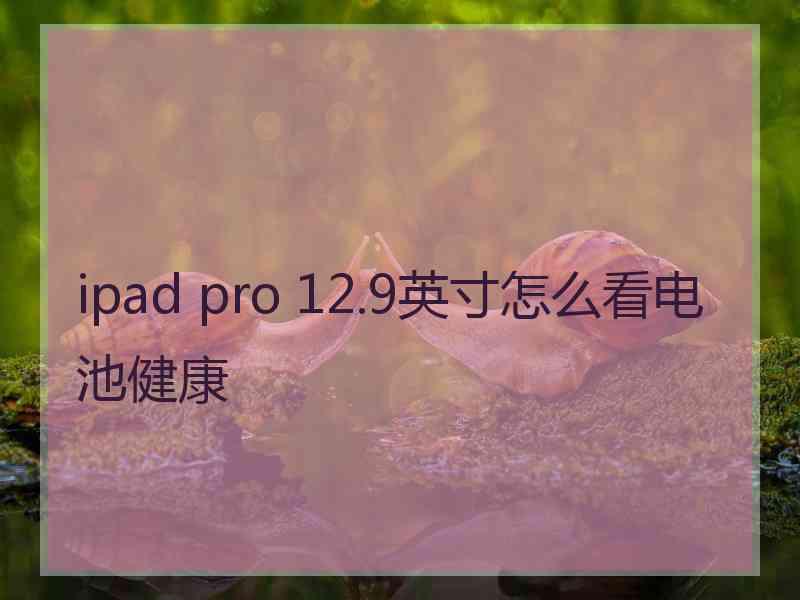 ipad pro 12.9英寸怎么看电池健康