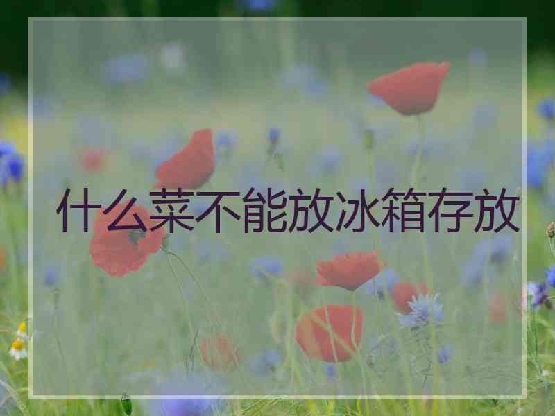 什么菜不能放冰箱存放