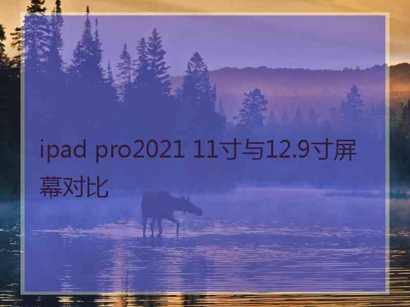 ipad pro2021 11寸与12.9寸屏幕对比