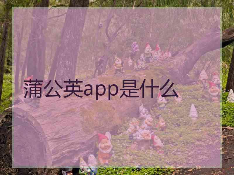 蒲公英app是什么