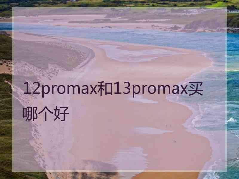 12promax和13promax买哪个好