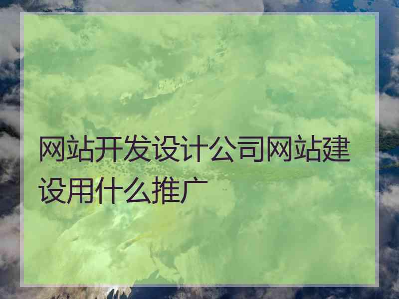 网站开发设计公司网站建设用什么推广