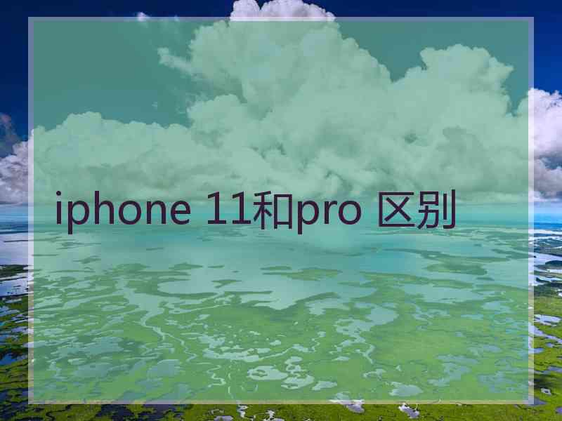 iphone 11和pro 区别