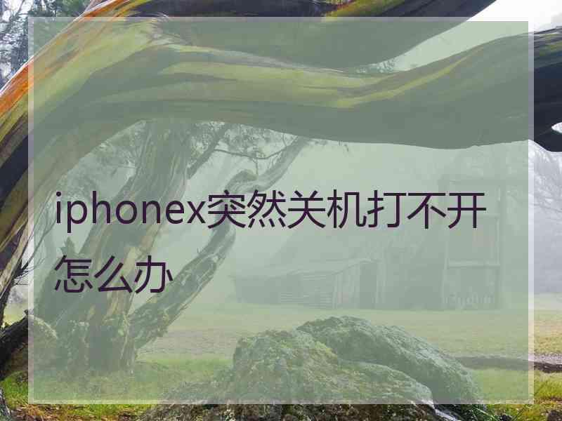 iphonex突然关机打不开怎么办