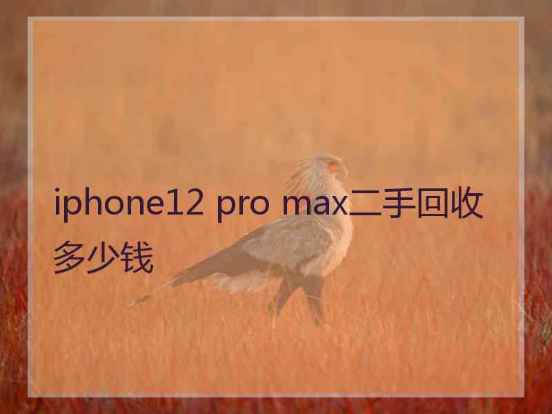 iphone12 pro max二手回收多少钱