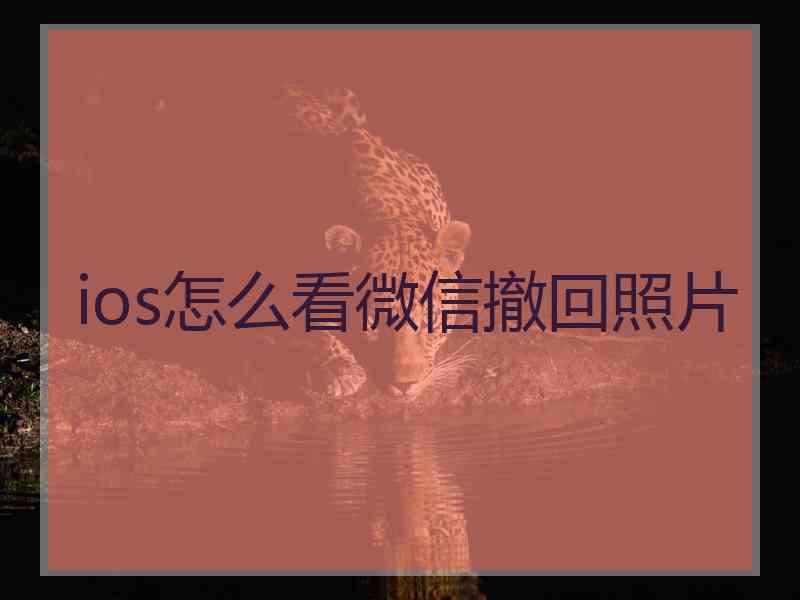 ios怎么看微信撤回照片