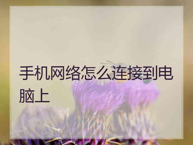 手机网络怎么连接到电脑上