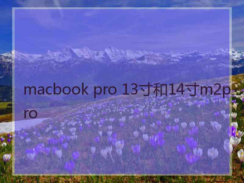 macbook pro 13寸和14寸m2pro