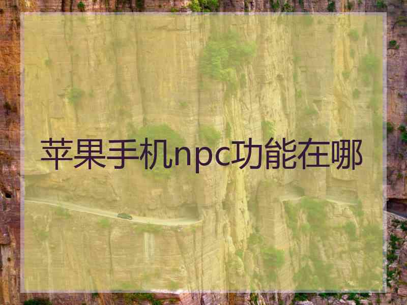 苹果手机npc功能在哪