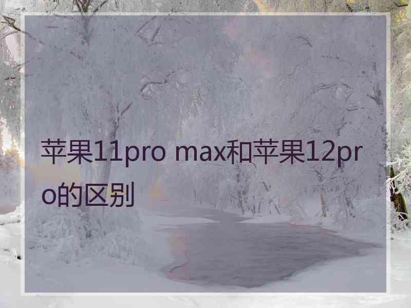 苹果11pro max和苹果12pro的区别