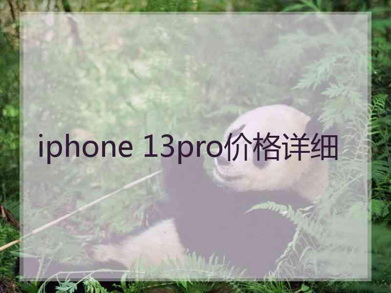 iphone 13pro价格详细