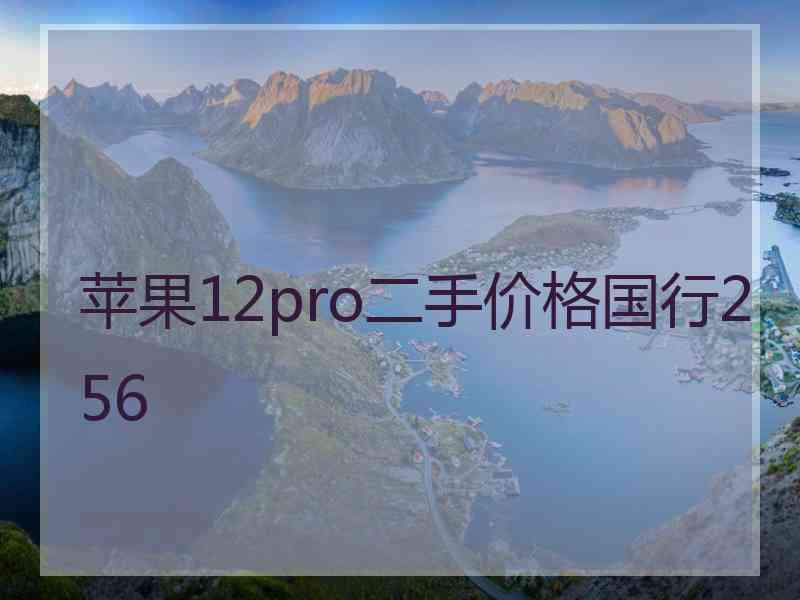 苹果12pro二手价格国行256