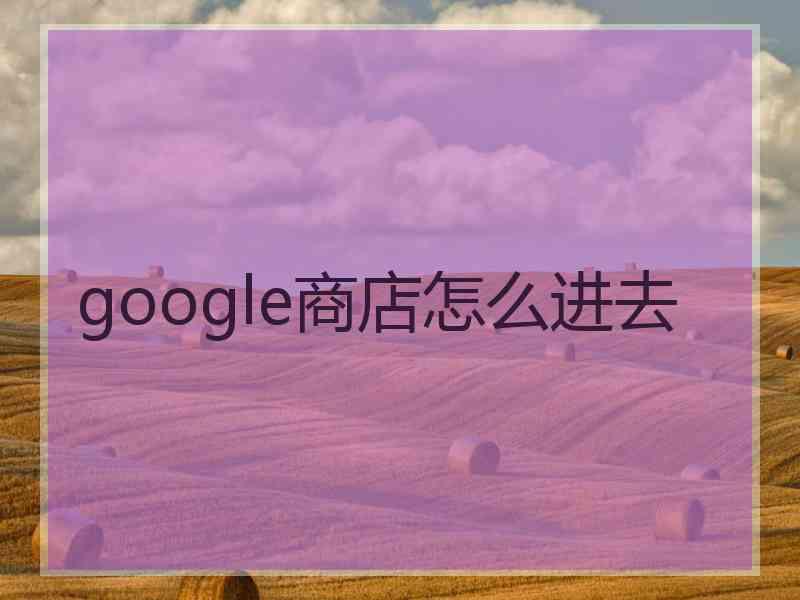 google商店怎么进去