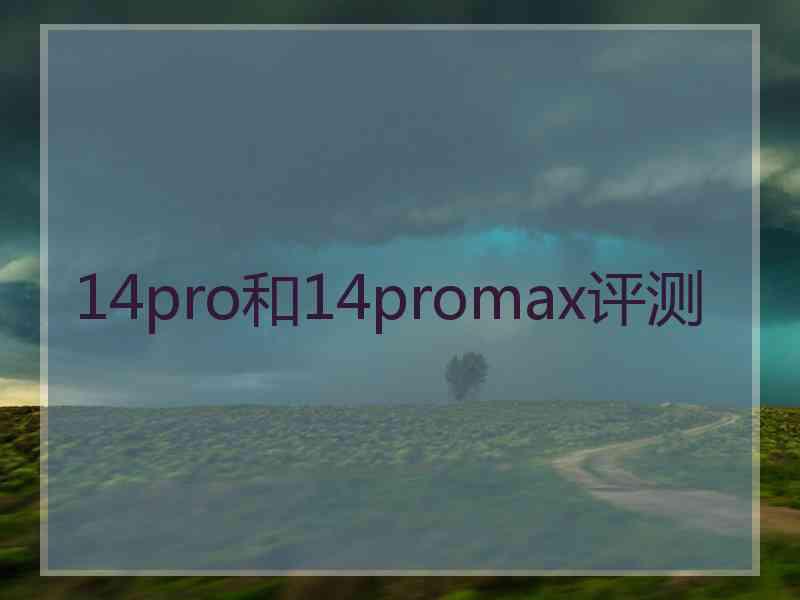 14pro和14promax评测