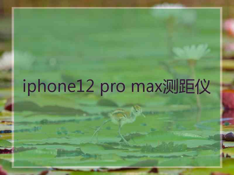 iphone12 pro max测距仪