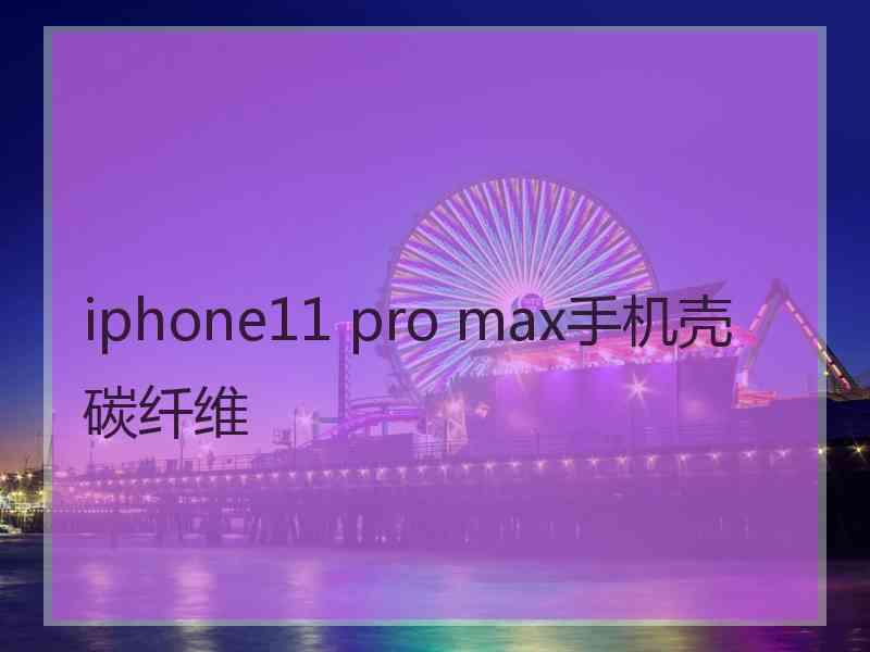 iphone11 pro max手机壳碳纤维