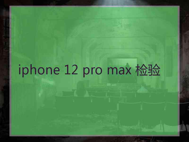 iphone 12 pro max 检验