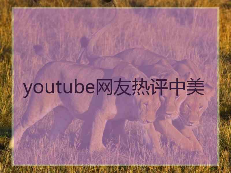 youtube网友热评中美