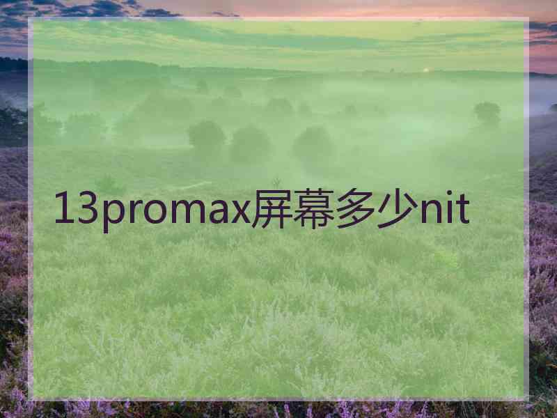 13promax屏幕多少nit