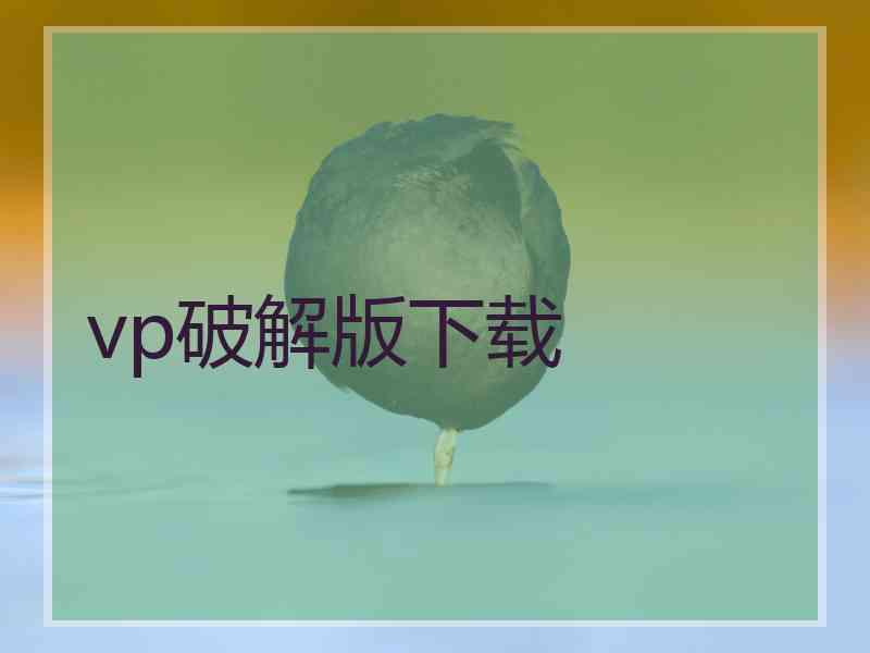 vp破解版下载