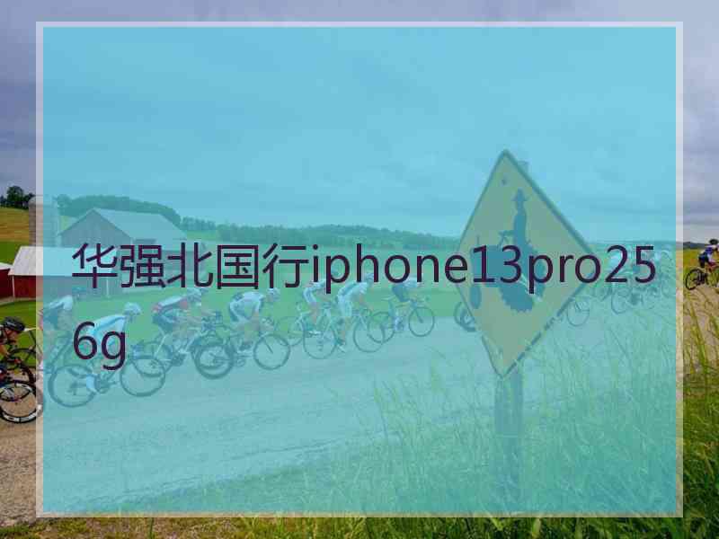 华强北国行iphone13pro256g