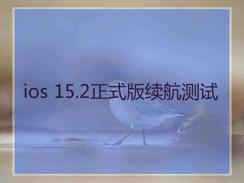 ios 15.2正式版续航测试