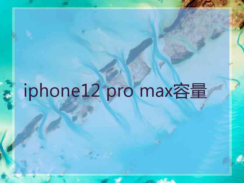 iphone12 pro max容量