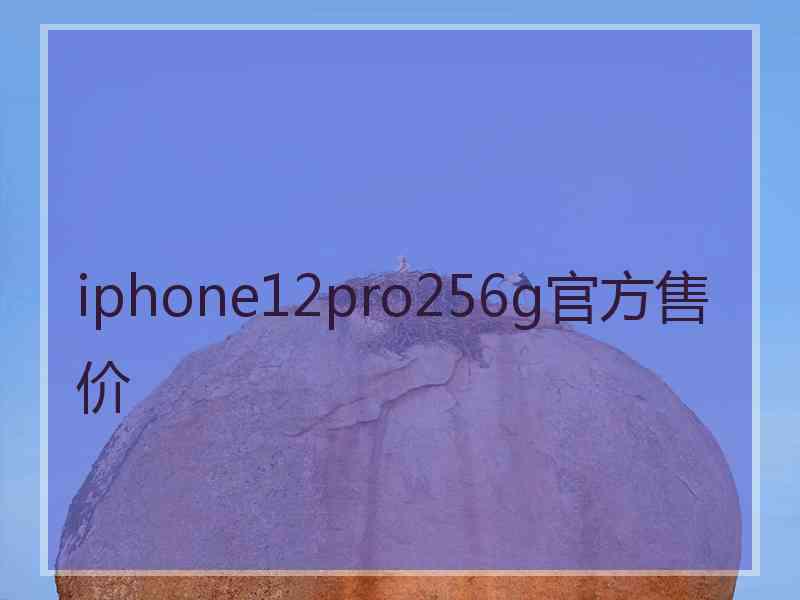 iphone12pro256g官方售价