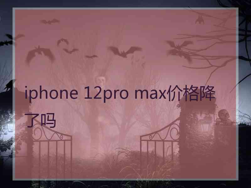 iphone 12pro max价格降了吗