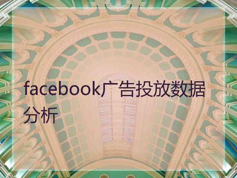 facebook广告投放数据分析