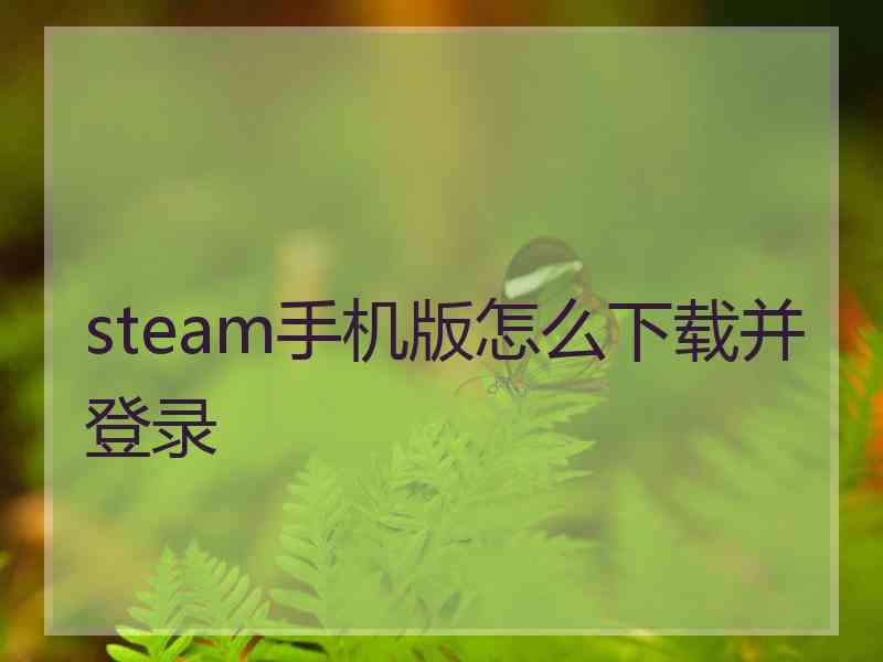 steam手机版怎么下载并登录