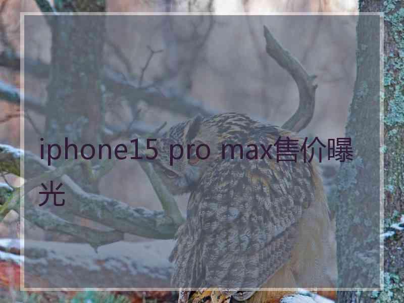 iphone15 pro max售价曝光