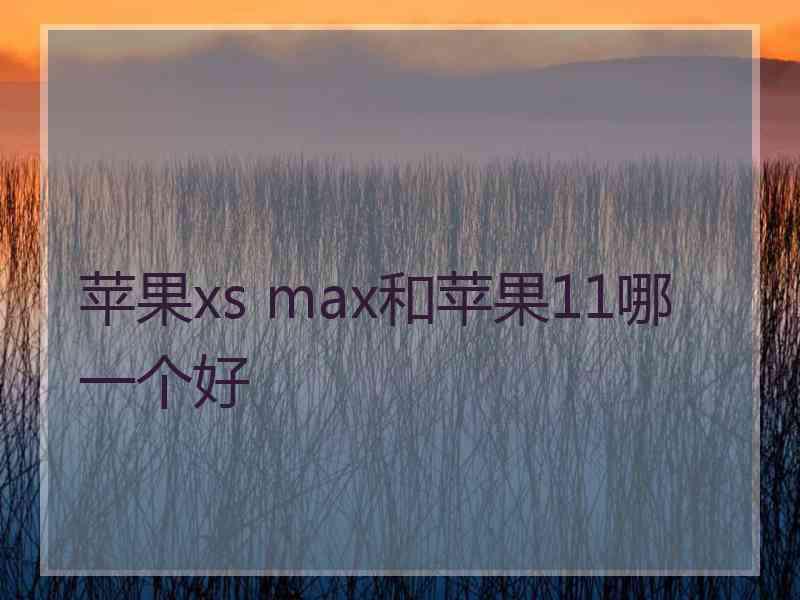 苹果xs max和苹果11哪一个好