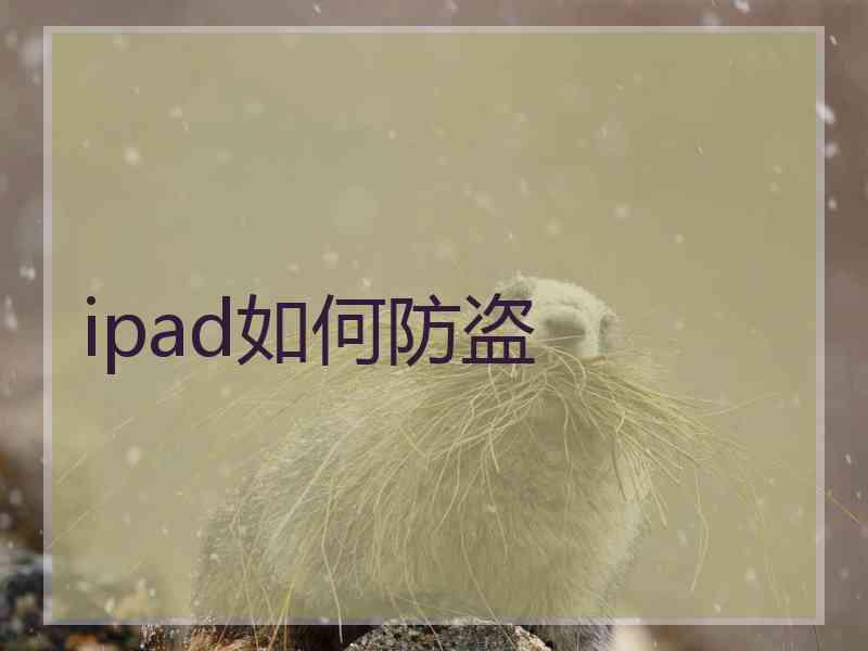 ipad如何防盗