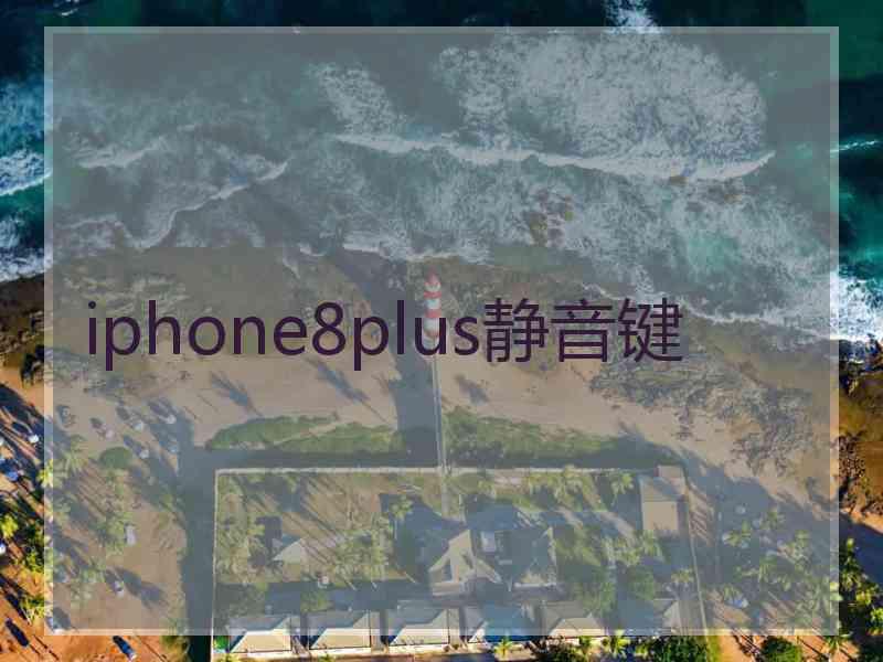 iphone8plus静音键