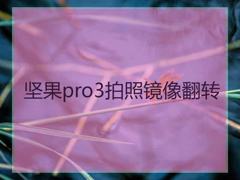 坚果pro3拍照镜像翻转