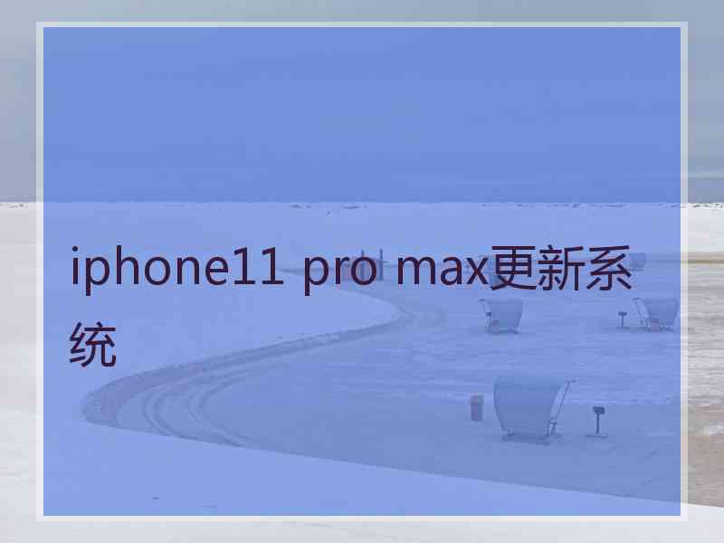 iphone11 pro max更新系统