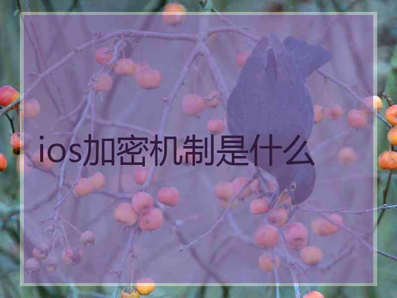 ios加密机制是什么