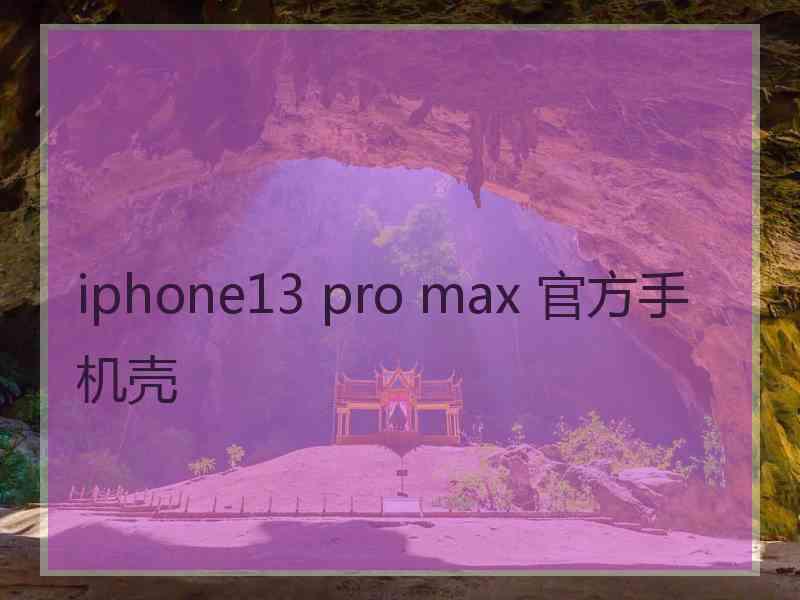 iphone13 pro max 官方手机壳