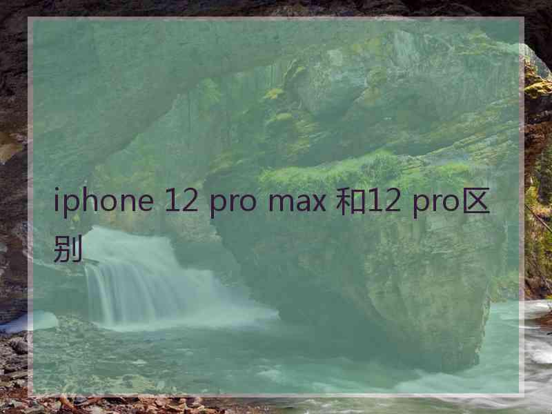 iphone 12 pro max 和12 pro区别