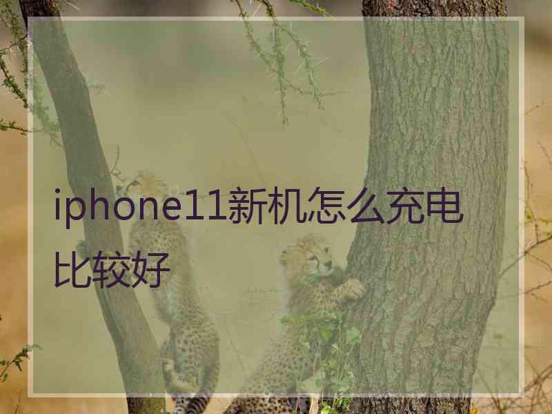 iphone11新机怎么充电比较好